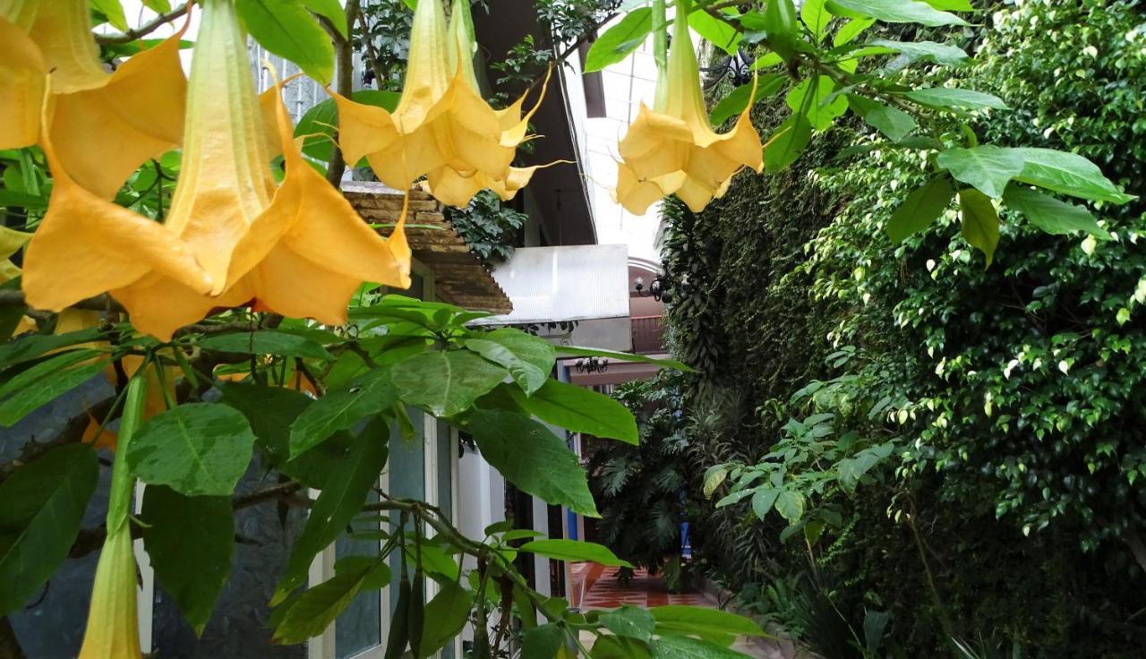 San Cristóbal de Las Casas Hotel Jardines Del Carmen מראה חיצוני תמונה