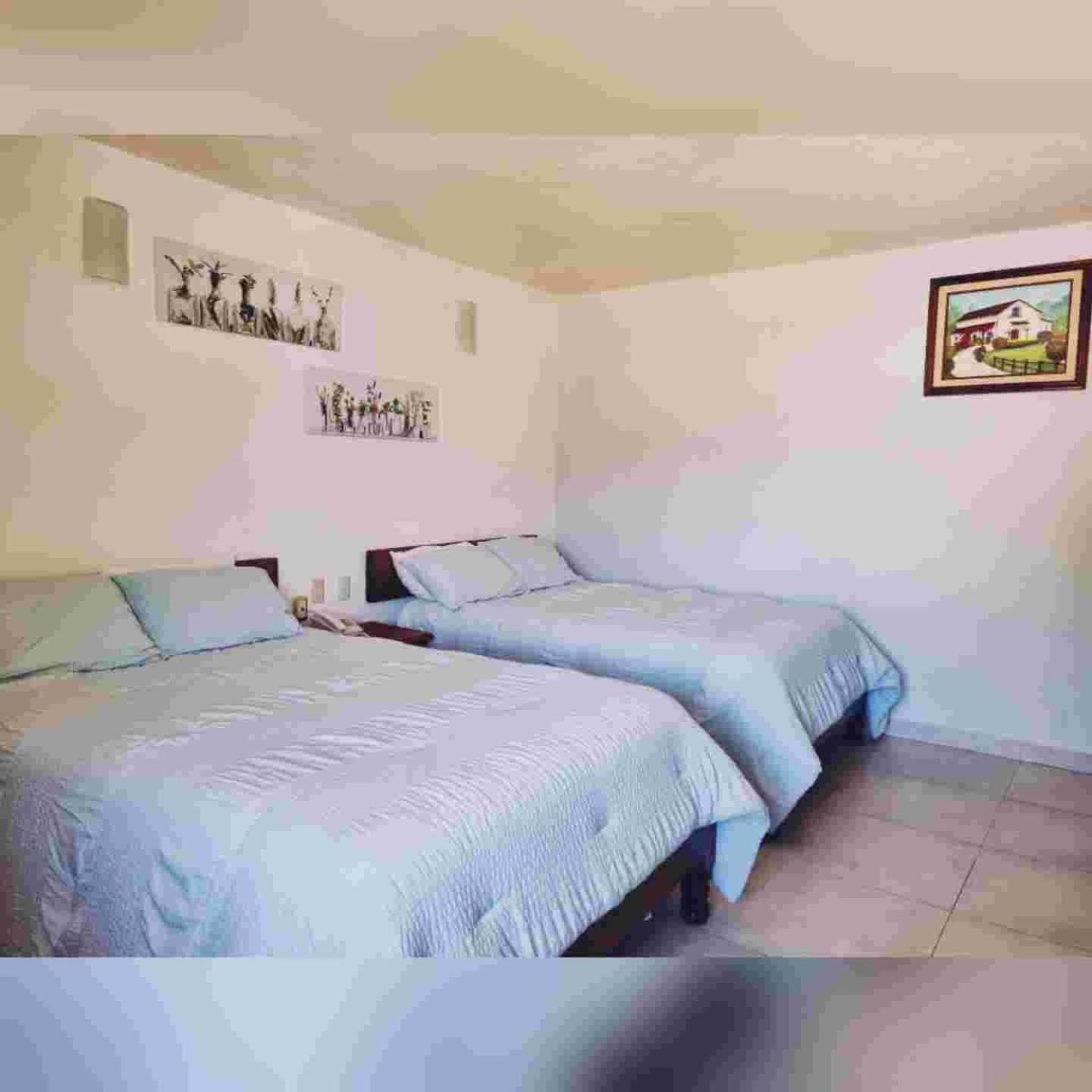 San Cristóbal de Las Casas Hotel Jardines Del Carmen מראה חיצוני תמונה