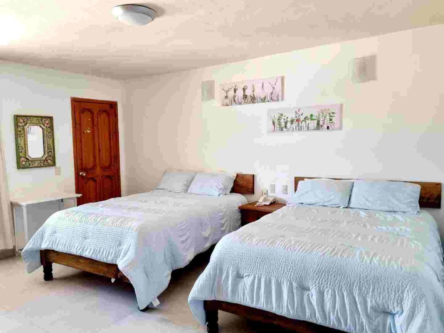 San Cristóbal de Las Casas Hotel Jardines Del Carmen מראה חיצוני תמונה